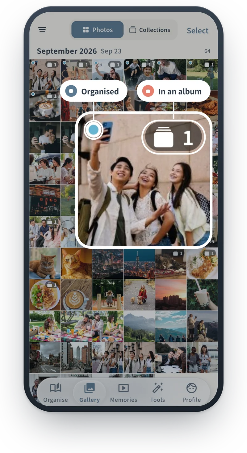 Gallery: the top-left dot shows it is organised, the top-right number how many albums it is in